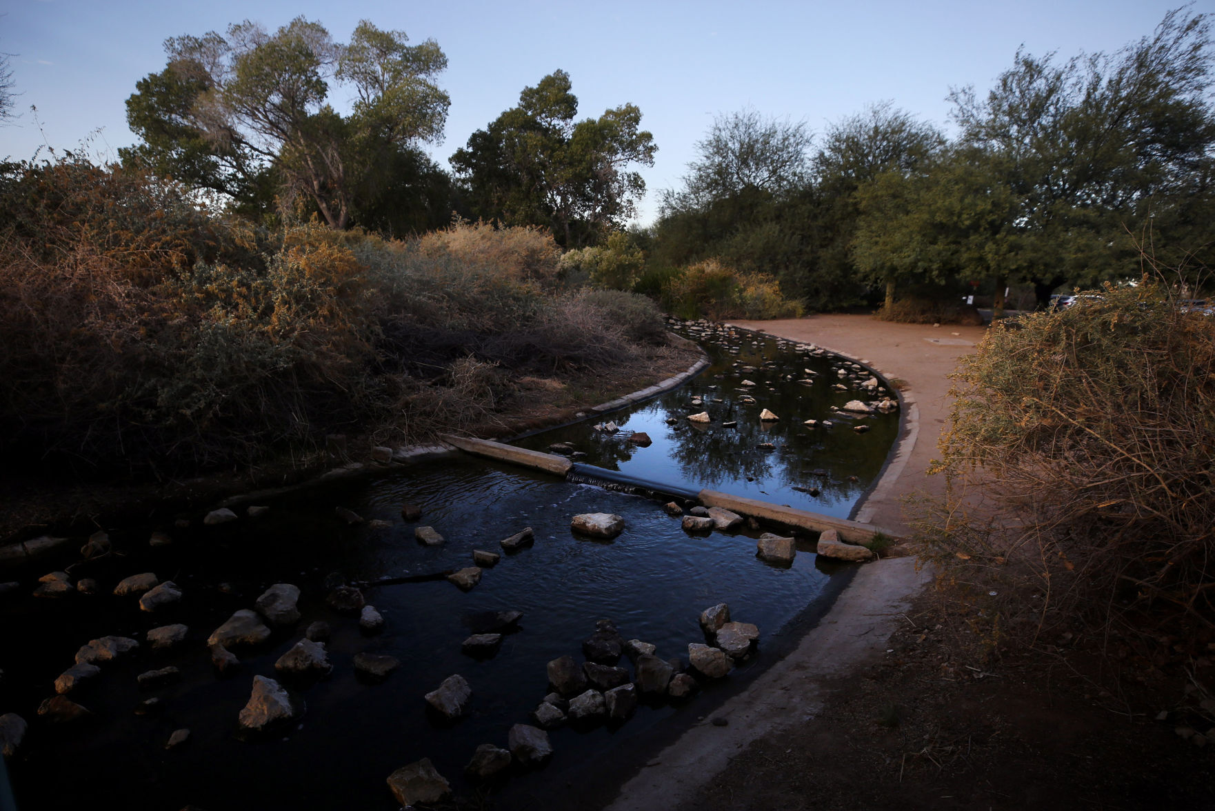 Sweetwater Wetlands, Tucson